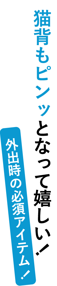 猫背もピンッとなって嬉しい！外出時の必須アイテム！