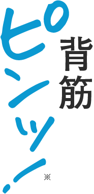 背筋ピンッ！